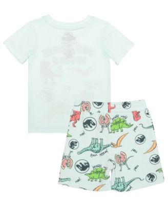 Toddler Boys 2-Piece Crewneck T-Shirt and Shorts Set