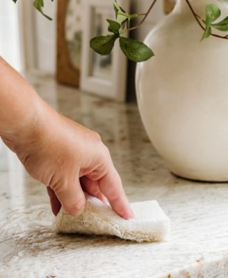 6-Pc. Cleana Colada Coconut Scrubber Sponges