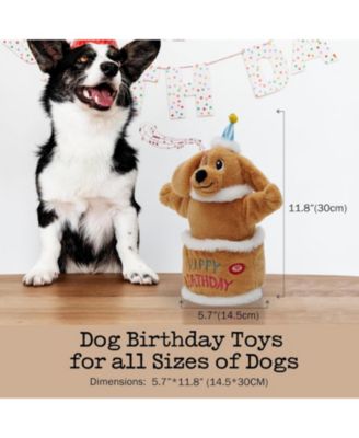 Birthday Cake Dog Toy, Dancing with Echo Function Feature, Singing Birthday Songs, Interactive Dog Toys, Plush Stuffed Puppy Toy