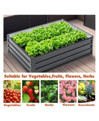 Metal Raised Garden Bed 4x3x1 ft