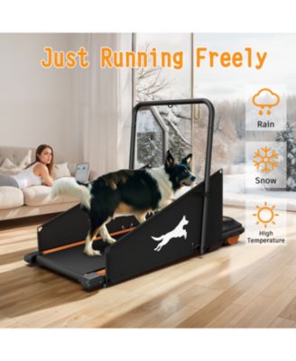 Dog Treadmill - Small & Medium Dogs - Run & Walk