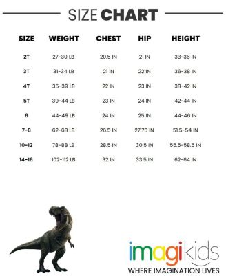 Boys Jurassic World Jurassic World Dinosaur T-Rex Fleece Pullover Hoodie and Pants Outfit Set