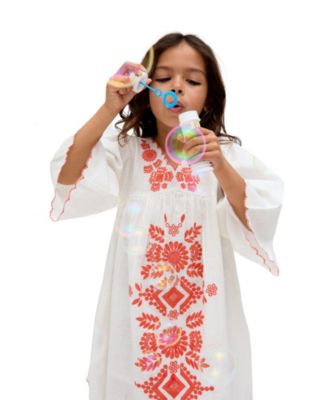 Arabella V- Neck Embroidered Dress