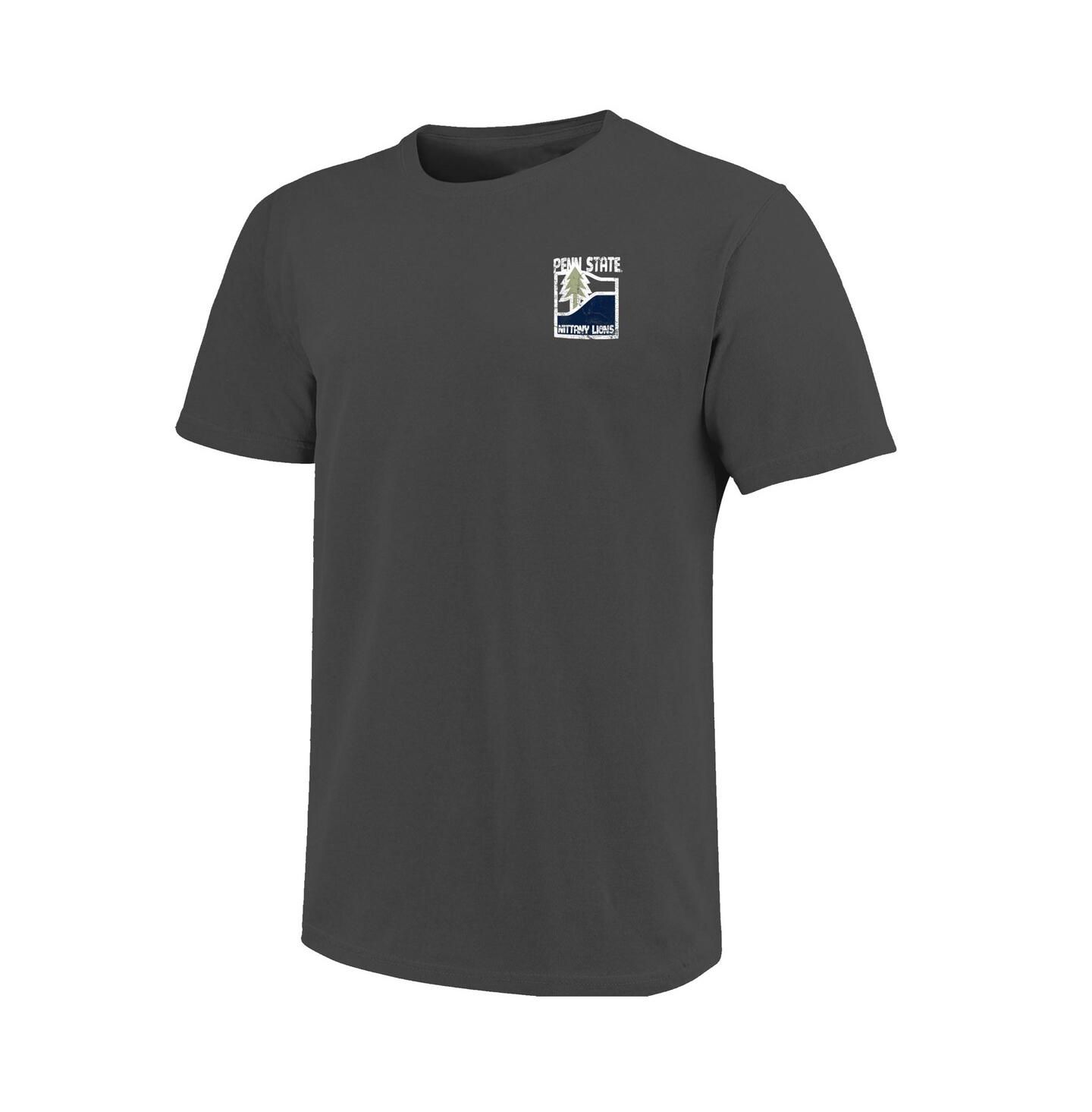 Мужская футболка Image One Graphite Penn State Nittany Lions Comfort Colors Minimal Vista Distressed Graphics — фото 2