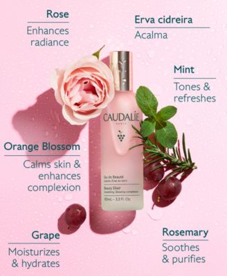 Beauty Elixir, 3.4-oz.