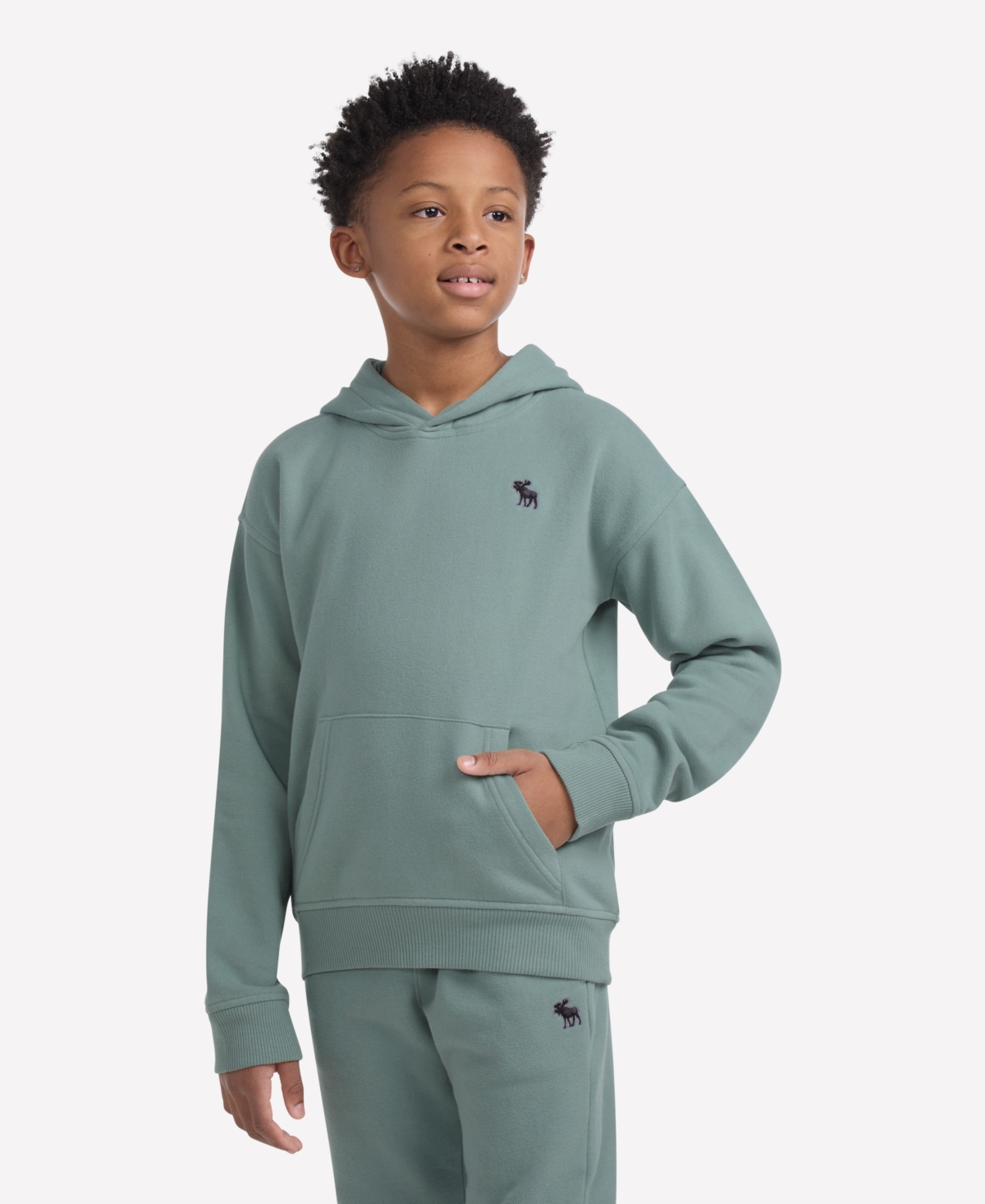 Abercrombie Boys Essential Fleece Pullover Hoodie In Green