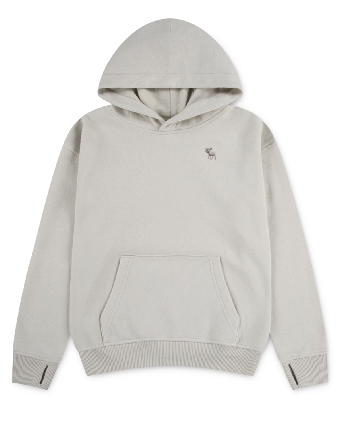 Abercrombie Boys Essential Fleece Pullover Hoodie In Gray