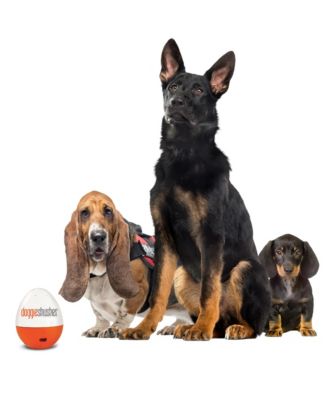 The Original Portable Sound Machine for Dogs | Shhhh Shusher for Dog Anxiety Relief | Puppy must haves | USB-C Charging