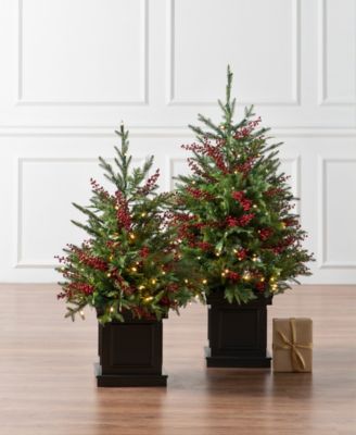 3 ft Outdoor Berry Pre-Lit Potted Tree