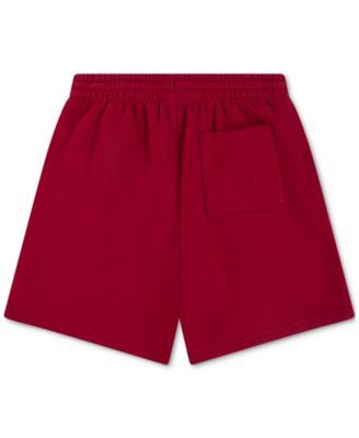 Big Boys Colorblocked Logo Pull-On Fleece Shorts