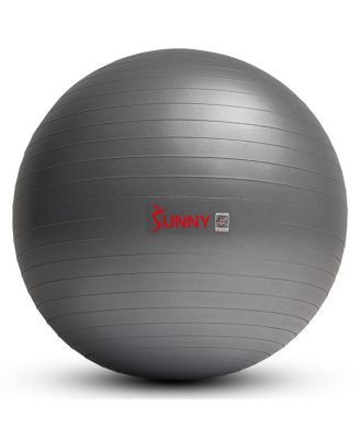 Premium Yoga Ball Medium 65CM Anti-Burst Exercise Ball with Pump for Workouts, Physical Therapy