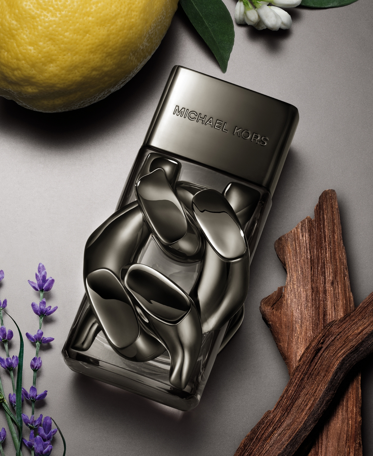 Michael Kors Men's Pour Homme Absolu Eau de Parfum Spray