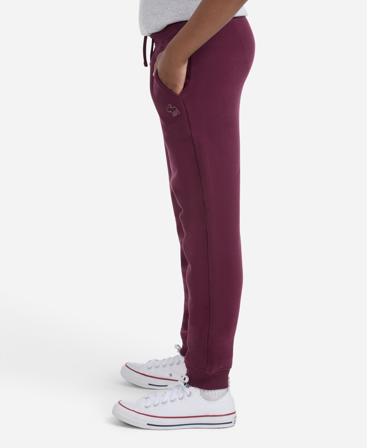 Abercrombie Boys Essential Fleece Jogger Pants In Purple