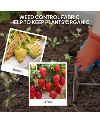 6FT x 300FT Weed Barrier Landscape Fabric, Weed Control Fabric