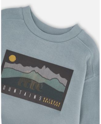 Toddler Boys Animated Print French Terry Sweatshirt Sage Green - Toddler|Child