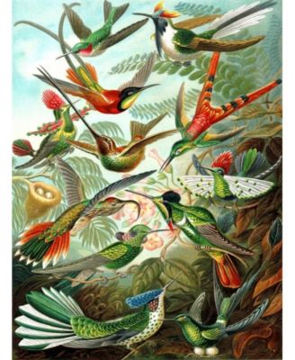 Hummingbirds 1000 Piece Puzzle