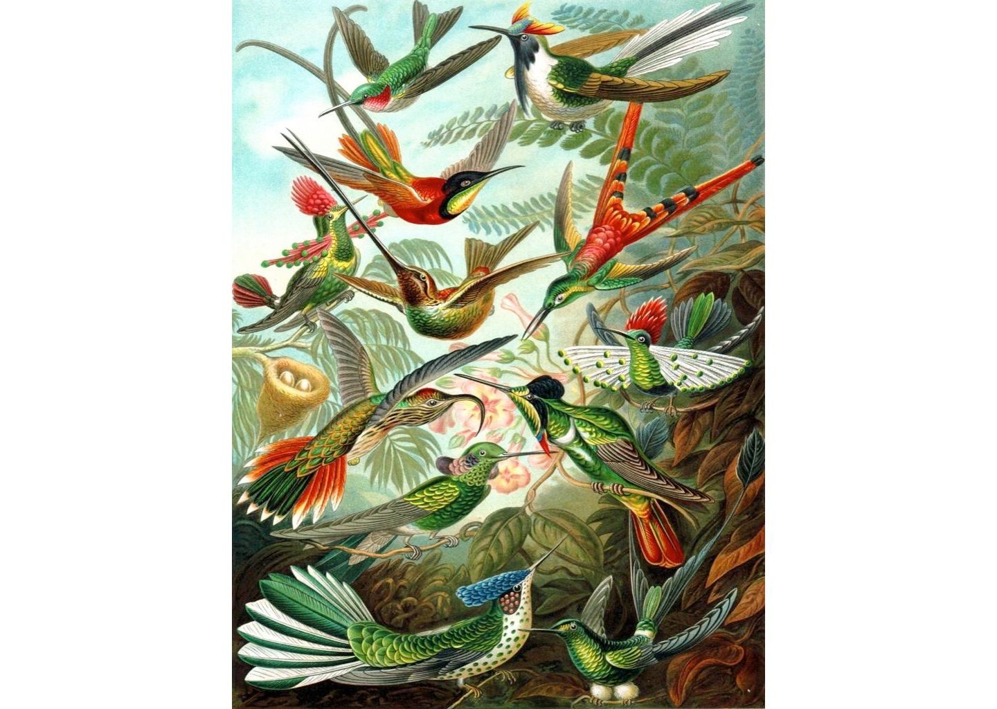 Детский пазл New York Puzzle Company Hummingbirds 1000 Piece Puzzle — фото 4