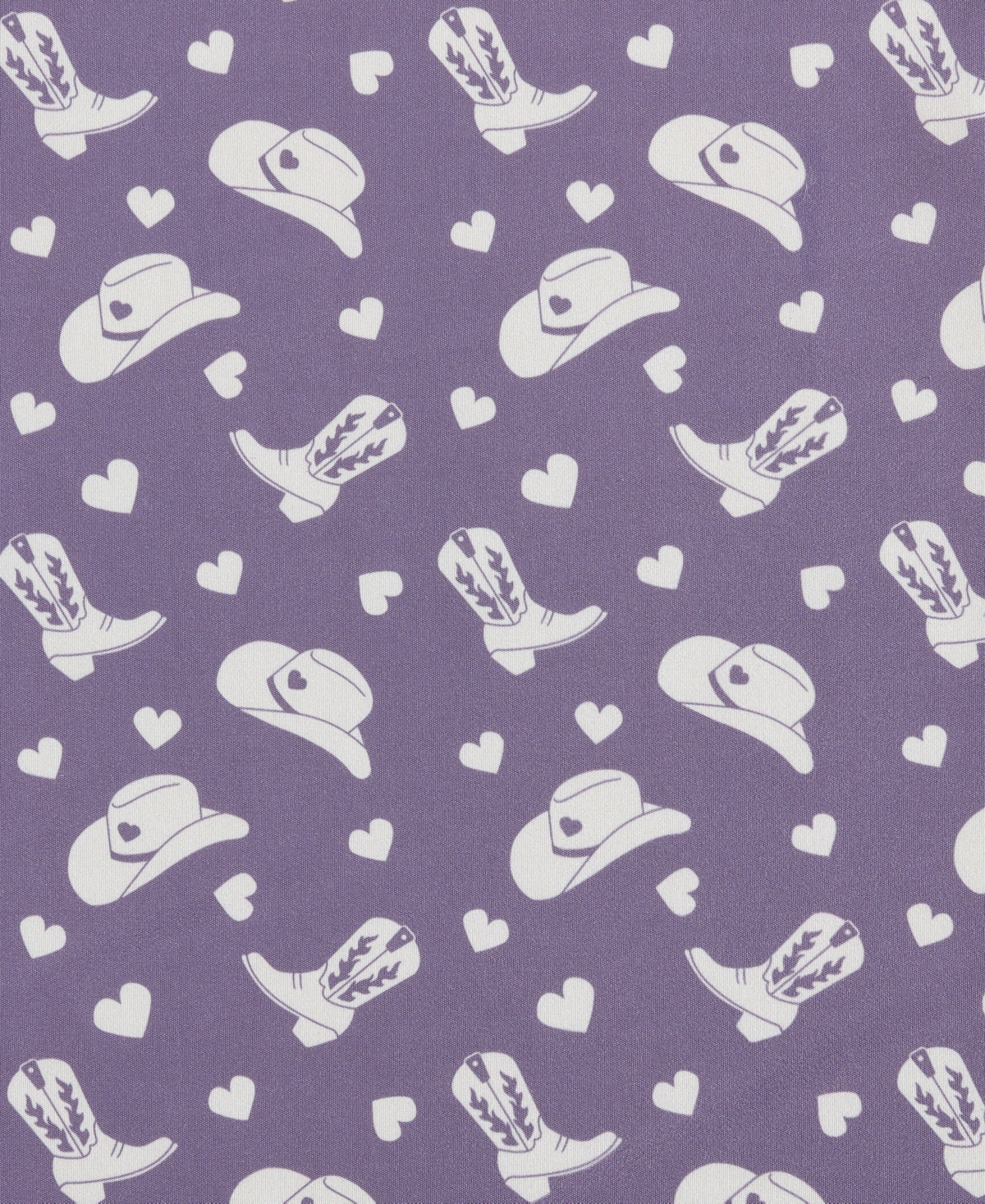 Betsey Johnson Silky Microfiber Printed 4-pc. Sheet Set, Queen In Purple