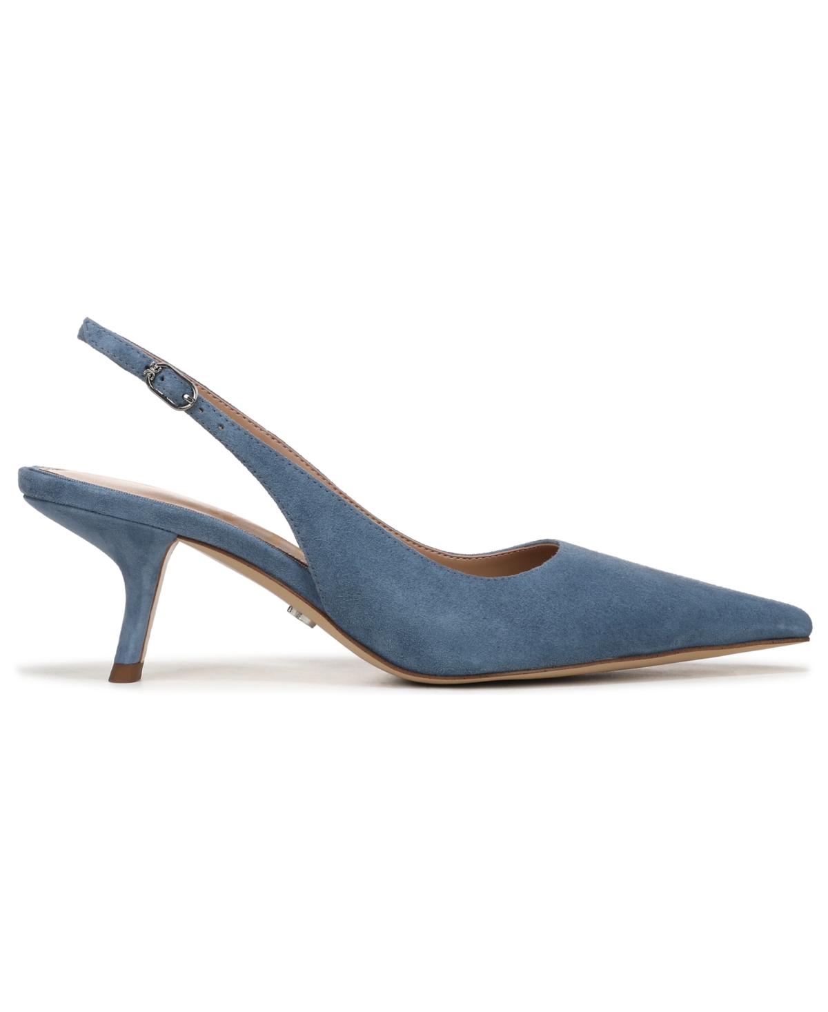 Sam Edelman Bianka Slingback Pointed Toe Pump In Blue