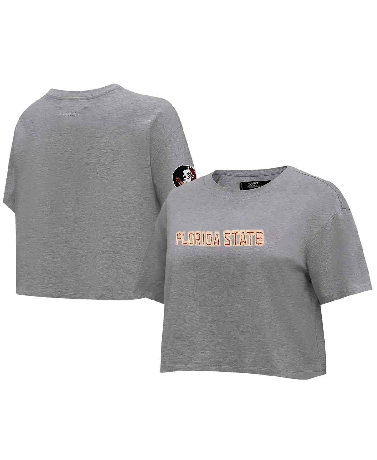 Women's Heather Charcoal Florida State Seminoles Tonal Neutral Boxy Cropped T-Shirt - Heather Charcoal