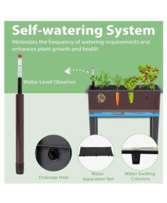 Raised Garden Bed Planter Box with Climbing Trellis Water Level Indicator