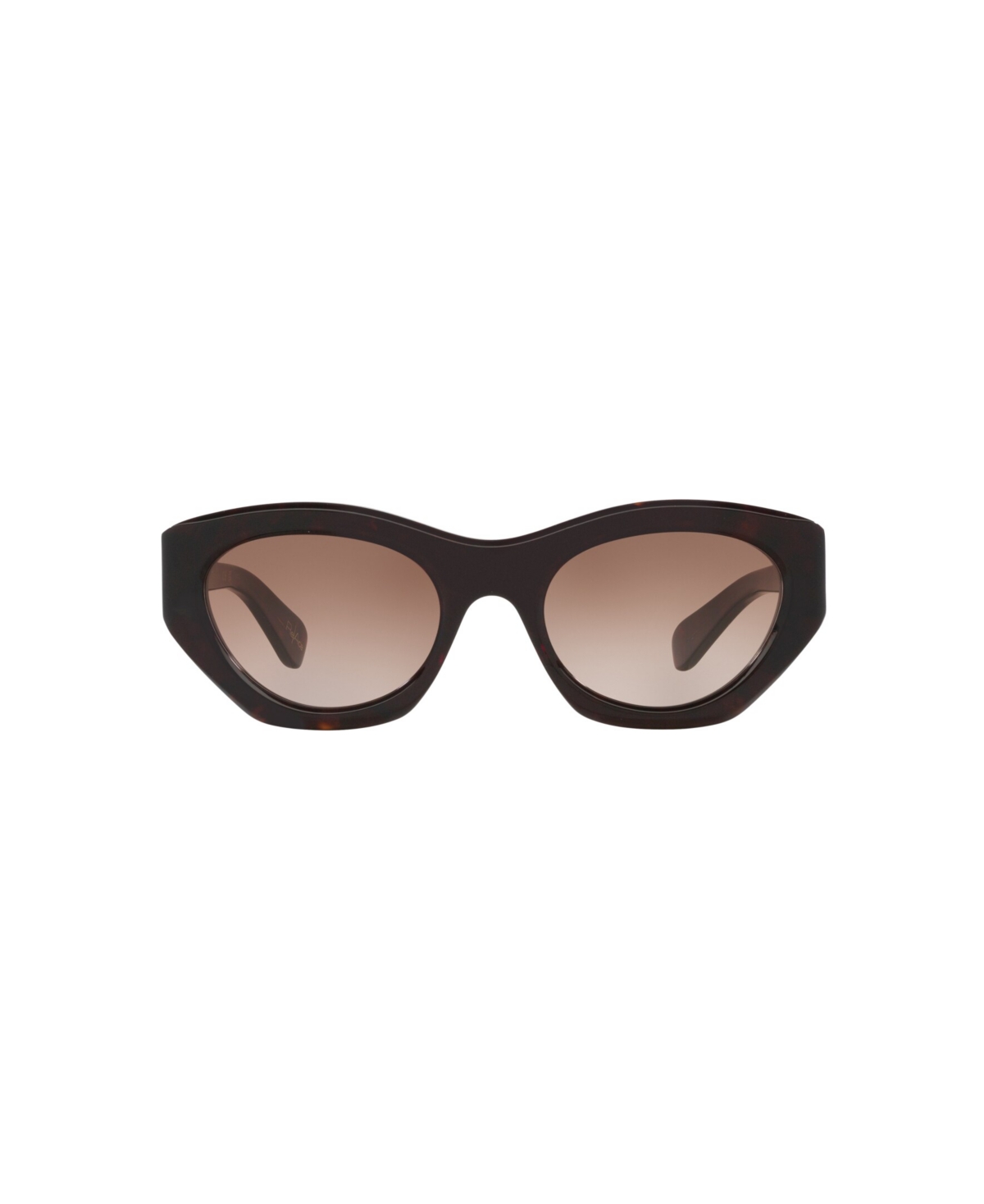 Chloé Women's Cat Eye Sunglasses, Ch0220s 6n000523