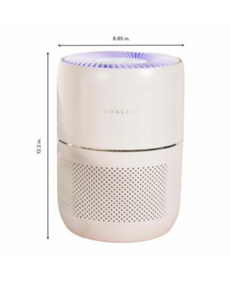 OVAL AIR H13 Smart Desk Purifier – 150 sq. ft. | Filters Allergies, Odors & Smoke