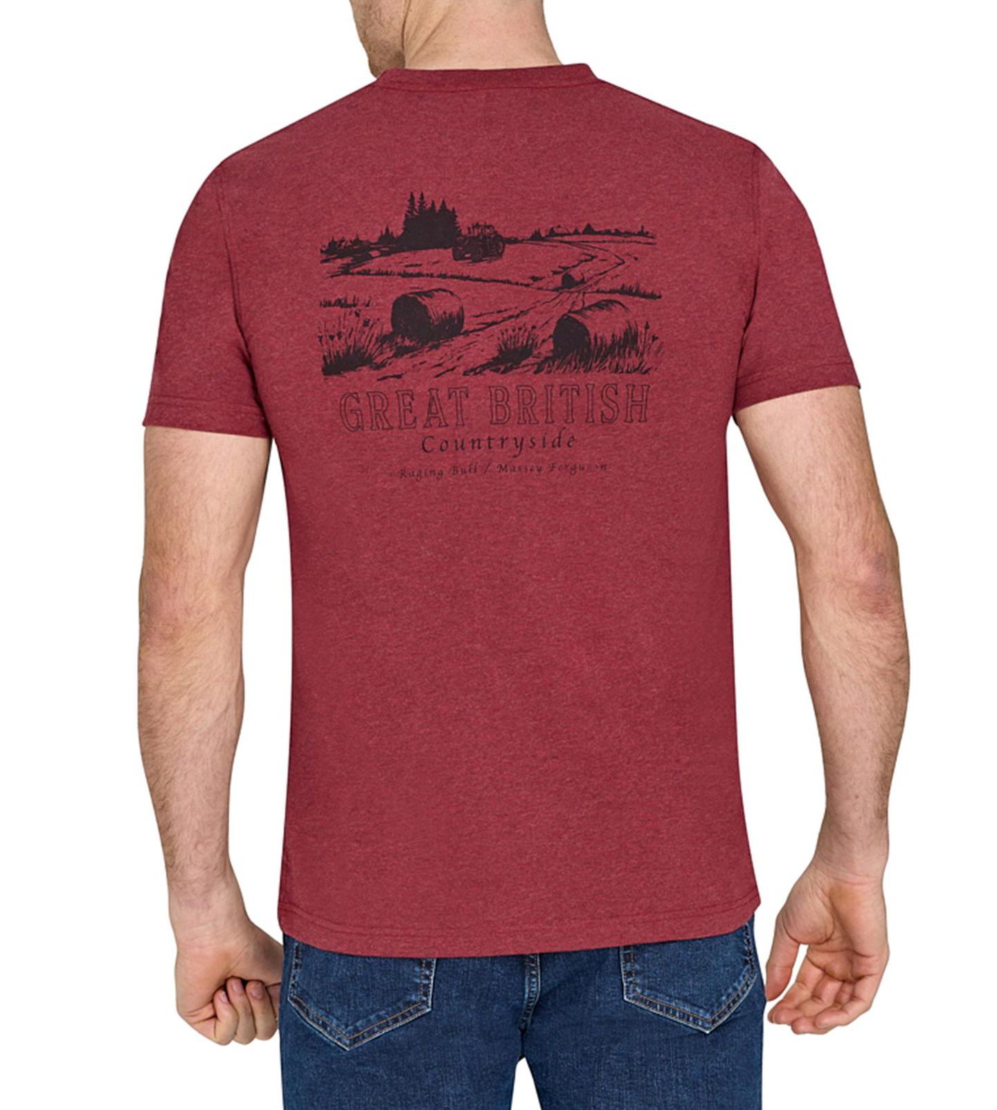 Мужская футболка Raging Bull MF Field Back Print, цвет: Бордово-красный — фото 7