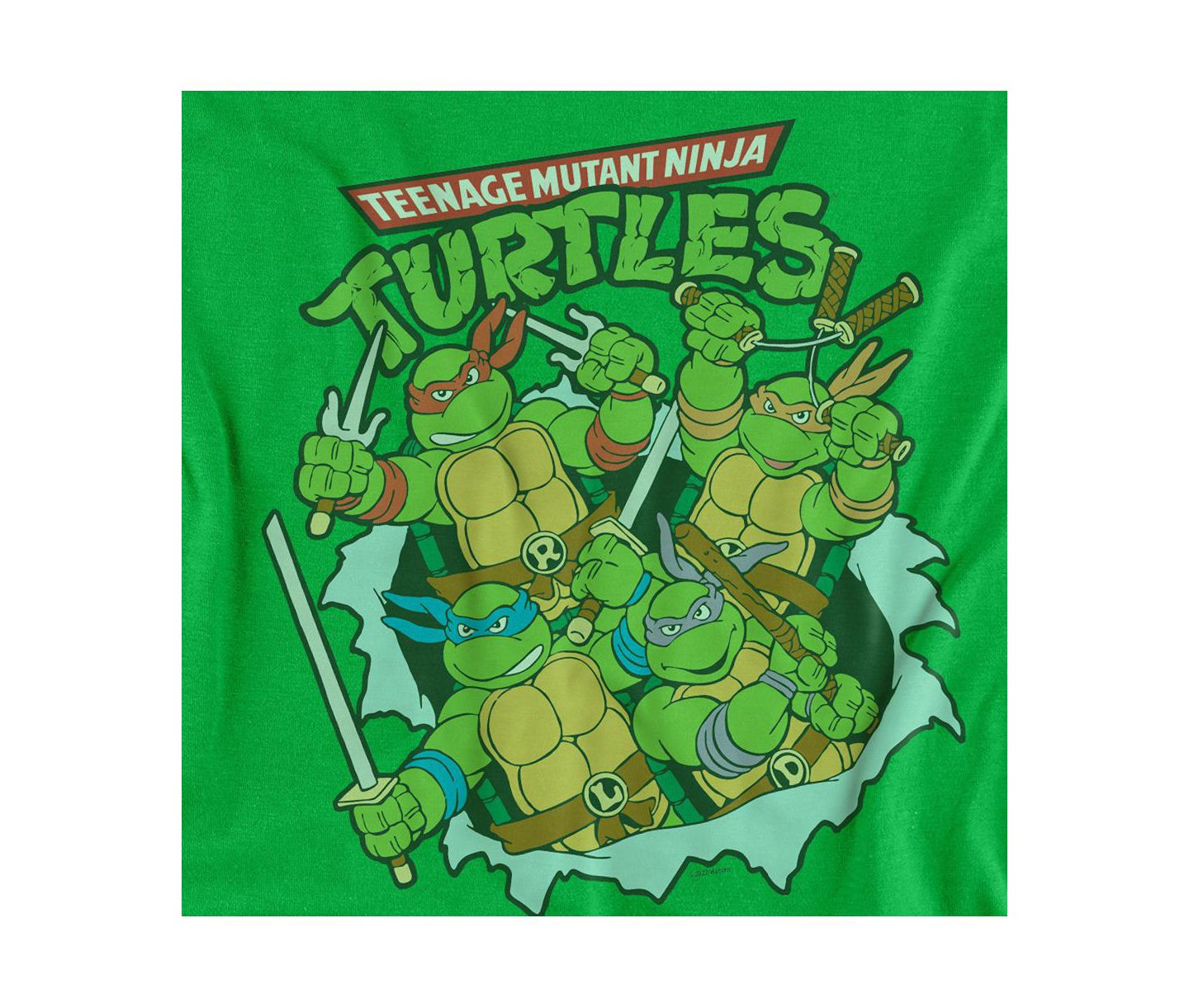 Мужская футболка Teenage Mutant Ninja Turtles Big & Tall Retro Group, цвет: Зелёный — фото 2