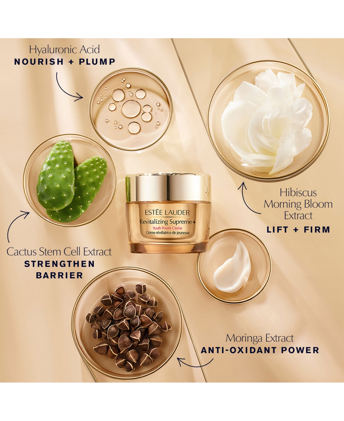 Estée Lauder 2-pc. Serum & Moisturizer Skin Care Set In Transparent