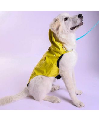 Pet Raincoat & Apparel Harness - Yellow, XL