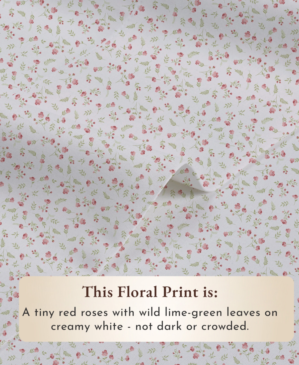 Printed Quatrefoil - 100% Organic Cotton Percale Queen Sheet Set Deep Pocket,