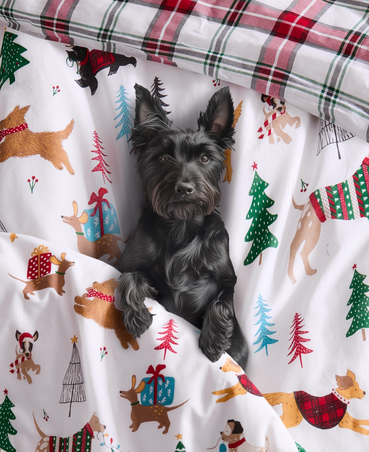 Levtex Home Jingle Paws Reversible 3-pc. Duvet Cover Set, Queen In Multi