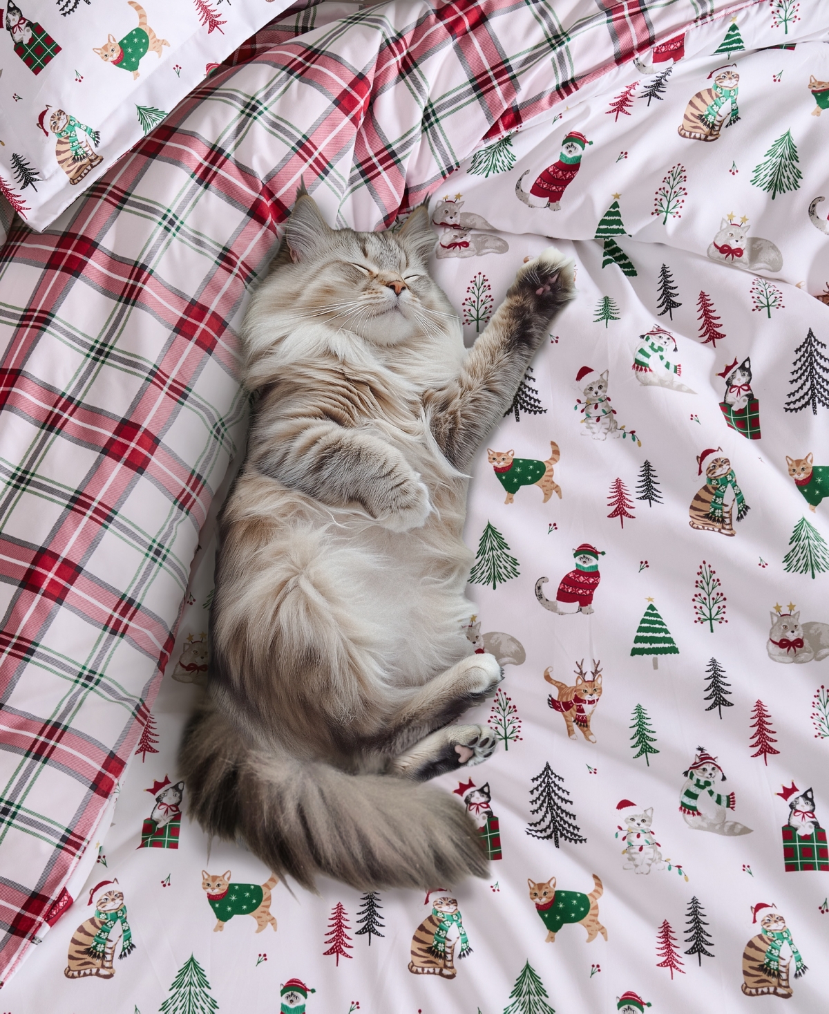 Levtex Home Meowy Christmas Reversible 2-pc. Duvet Cover Set, Twin In White