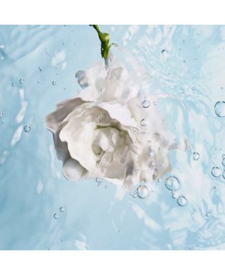 Rebalancing Replenishing Hydration, 1.7 oz.