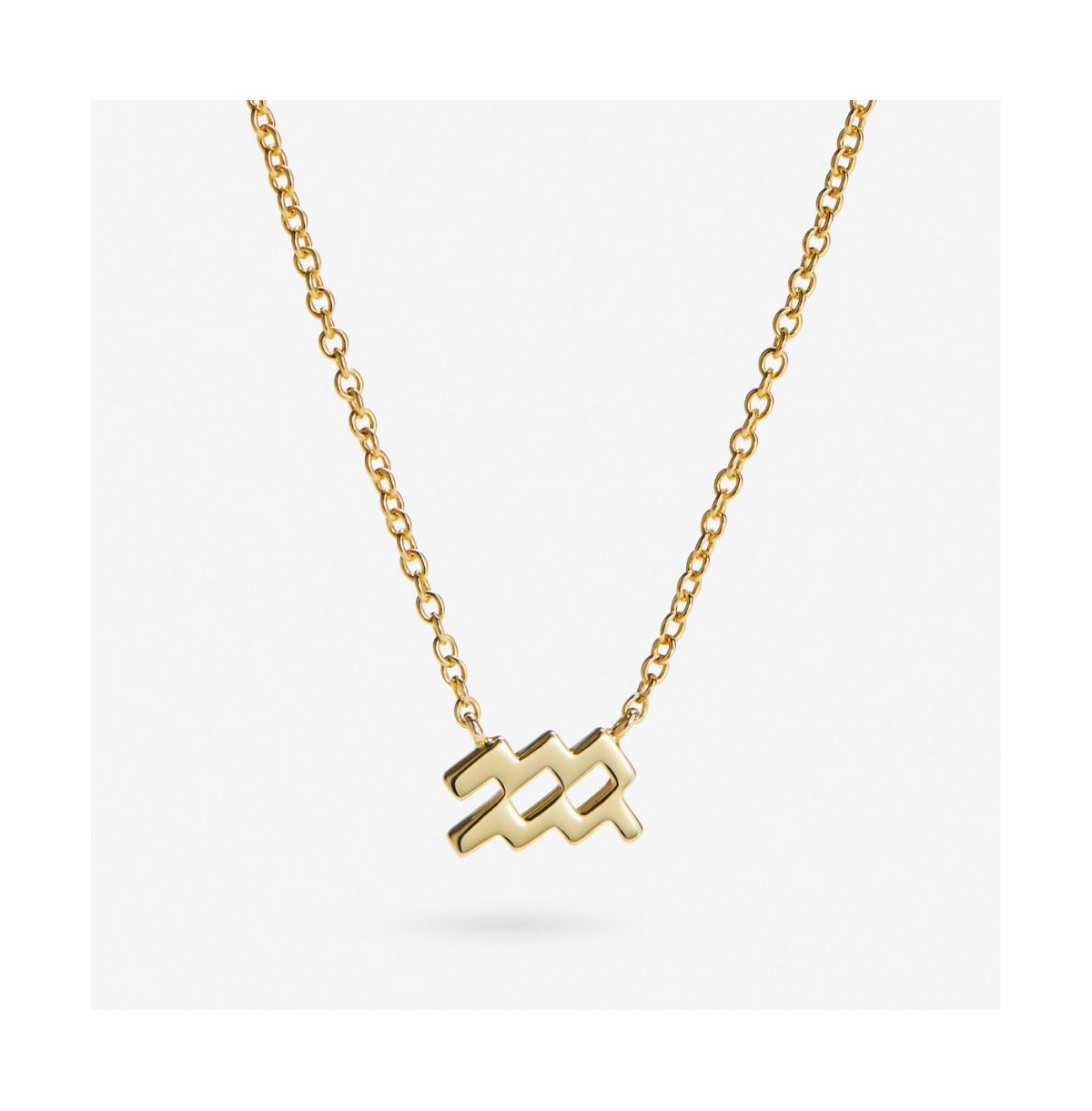 Zodiac Necklace - Zodiac Necklace - Gold zodiac -aquarius