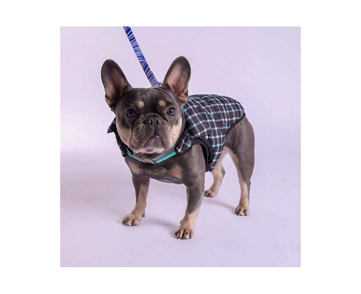 K9 Wear Starter Kit