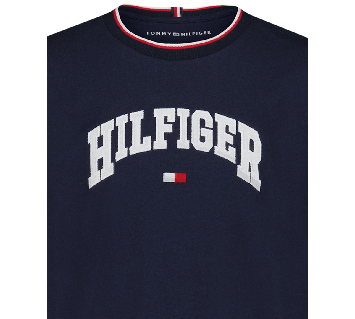 Tommy Hilfiger Big Boys S-xl Hilfiger Arch Short Sleeve T-shirt In Blue