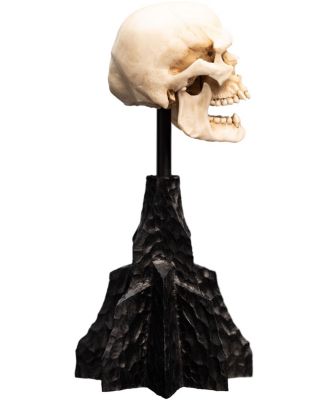 Polystone - The Lord of the Rings Trilogy - Skull of a Mordor Orc Miniature Polystone Statue