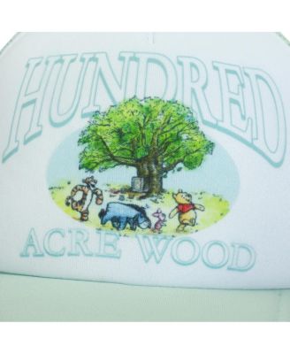 Men's Disney Hundred Acre Wood White & Blue Trucker Hat