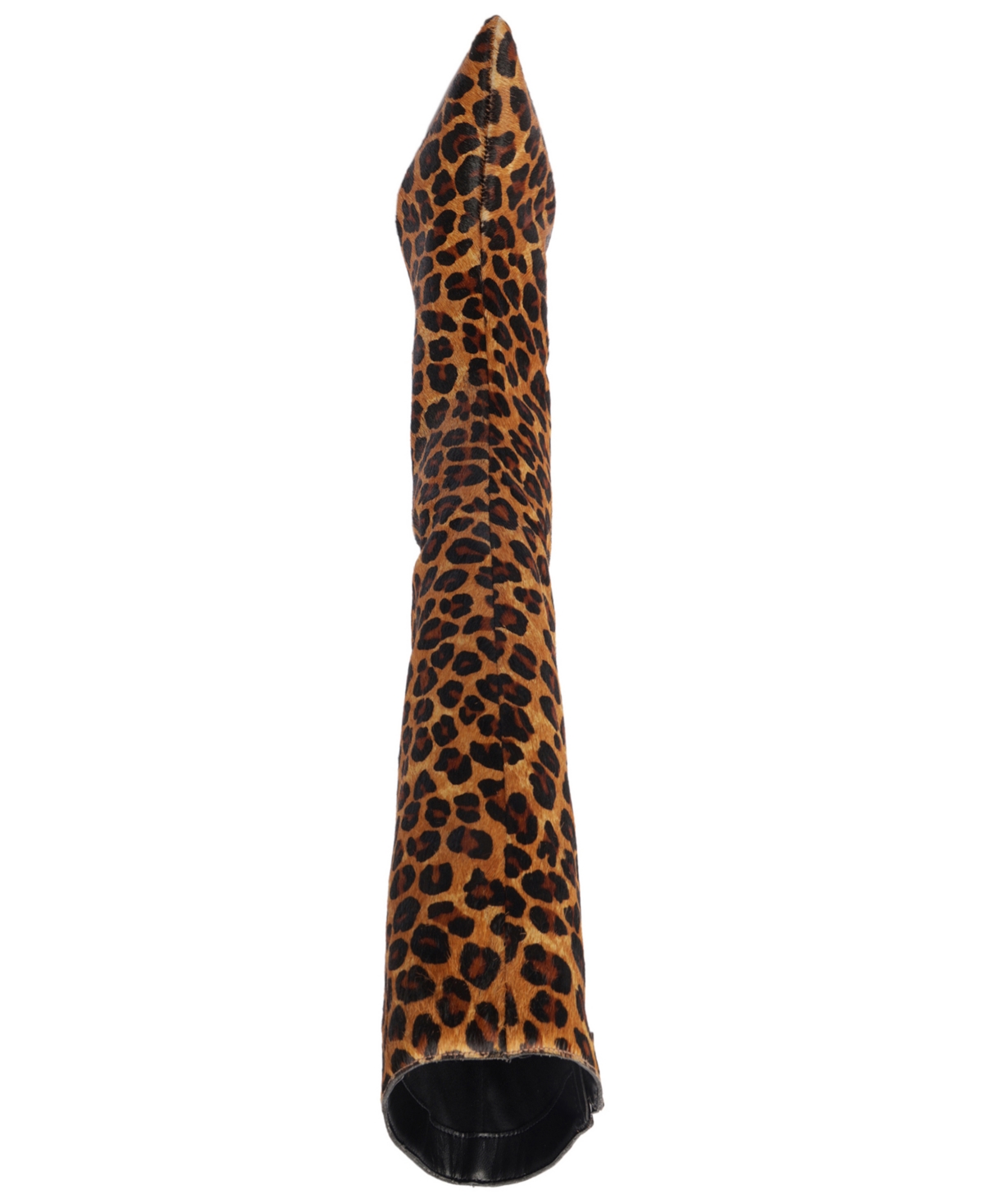 Arezzo Sasha Pointed Toe Knee High Boot In Multi