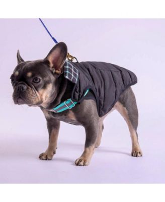 Starter Kit with Puffer Jacket