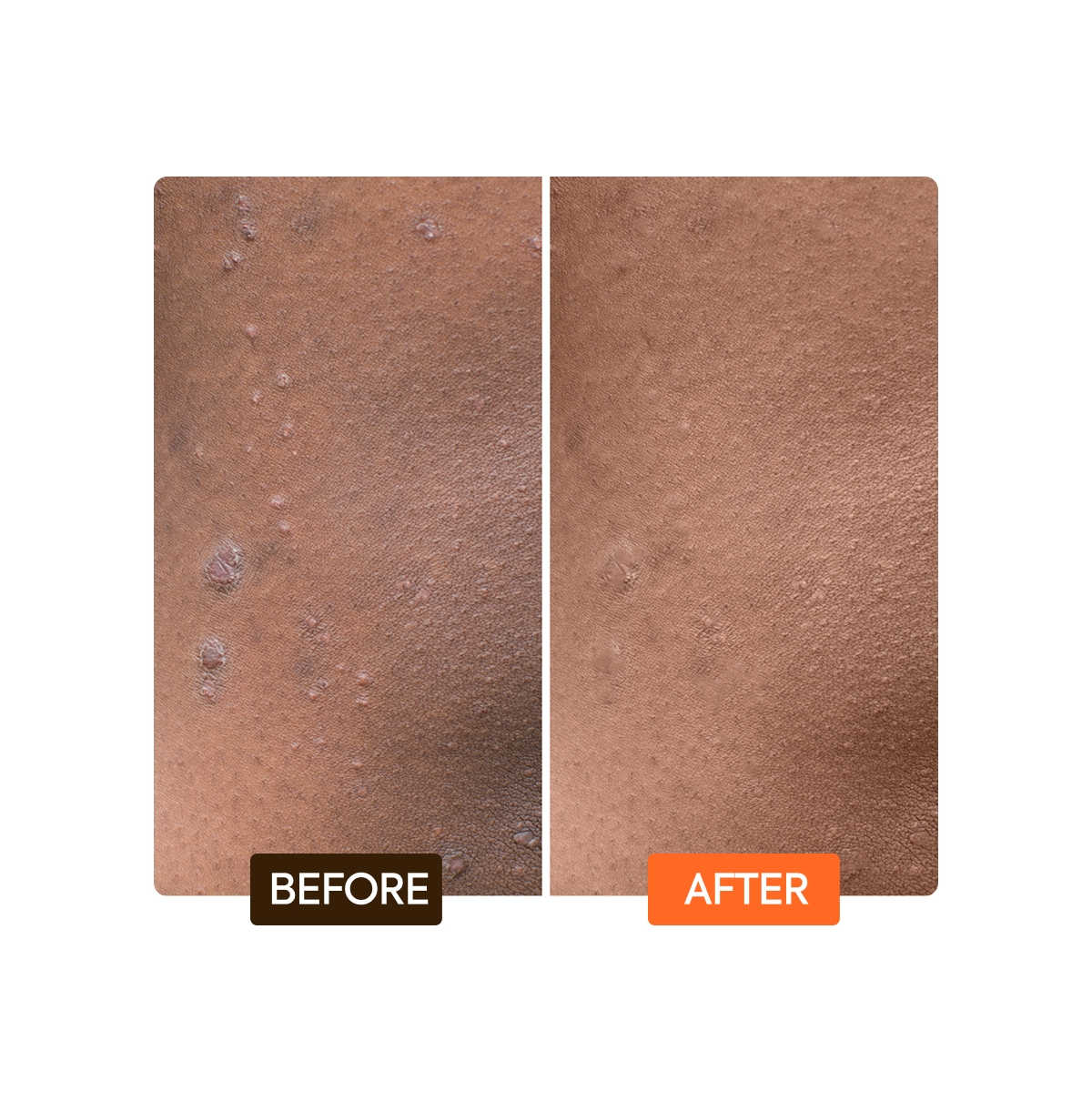 Extreme Argan & Carrot Oil Tone Boosting Body Lotion - 16.8oz