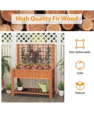 Raised Garden Bed w/ Trellis Wooden Elevated Planter Box w/ Legs & Liner