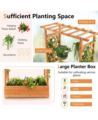 2PCS Raised Garden Bed Planter Box w/ Side & Top Trellis for Vine Climbing Plants 43.5'' x 17.5'' x 44.5''