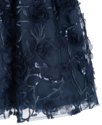 Toddler and Little Girls' 3D Floral Embroidery Social Dress