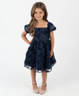 Toddler and Little Girls' 3D Floral Embroidery Social Dress