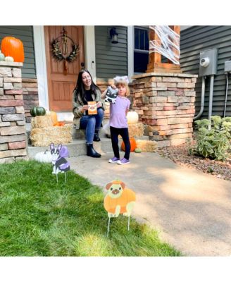 Halloween Pets - Assorted Birthday Party Goodie Boxes - Set of 12