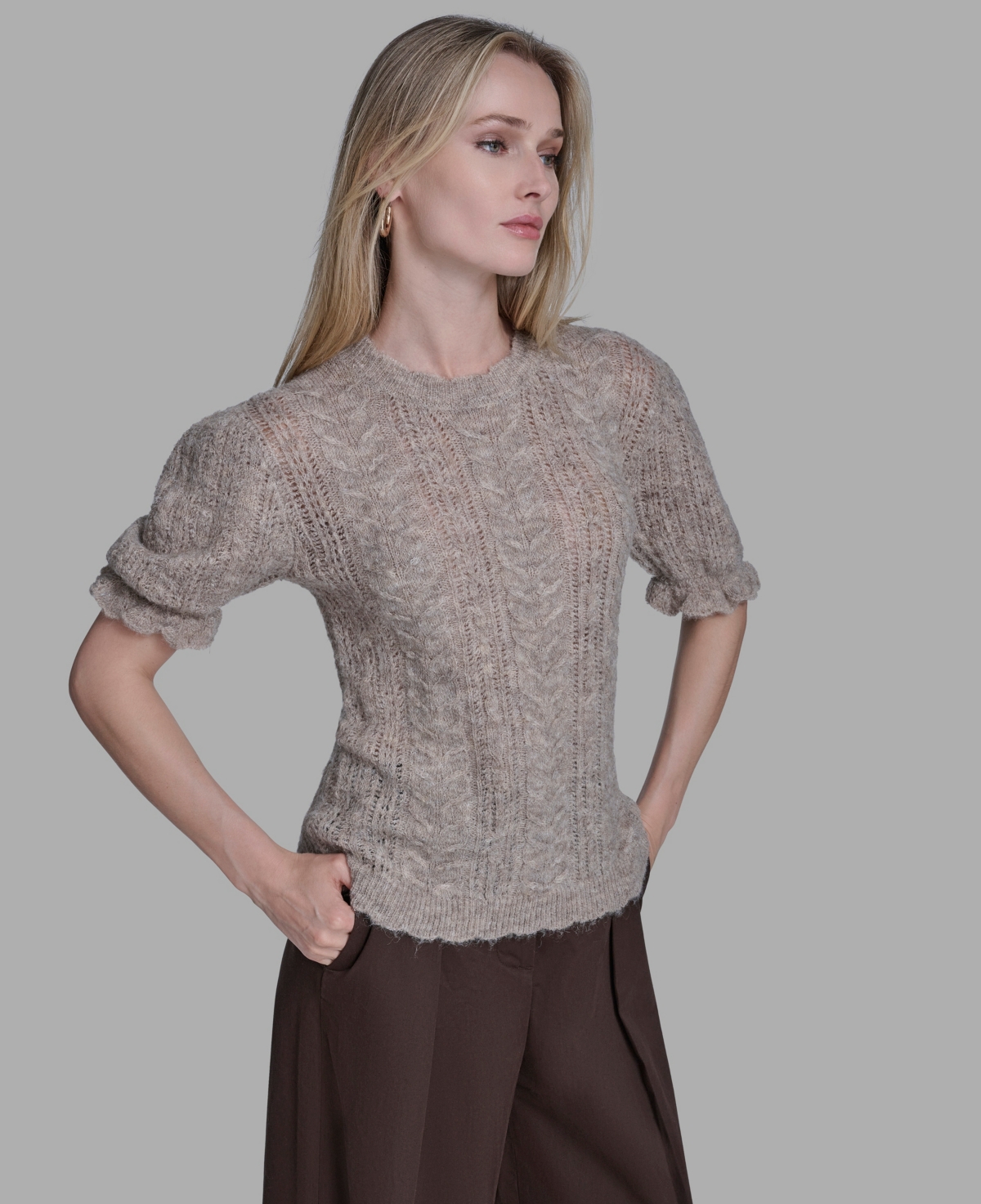 Bcbg Women's Short Sleeves Crewneck Sweater
