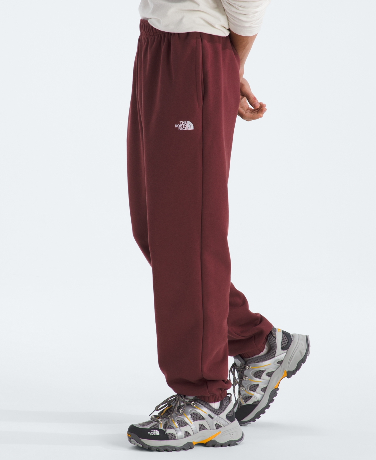 The North Face Men's Evolution Simple Dome Pants In Burgundy